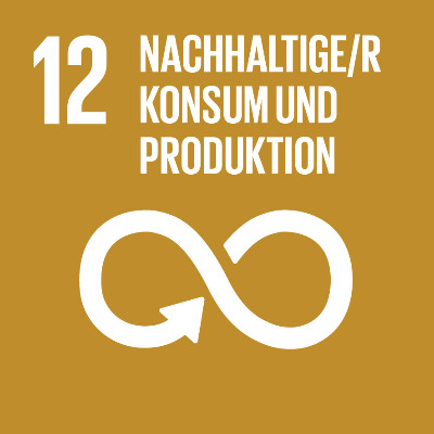 Sustainable Development Goal 12