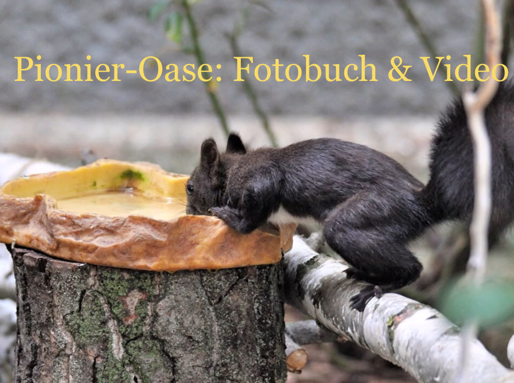 Das Projekt "Pionier-Oase" geht weiter!